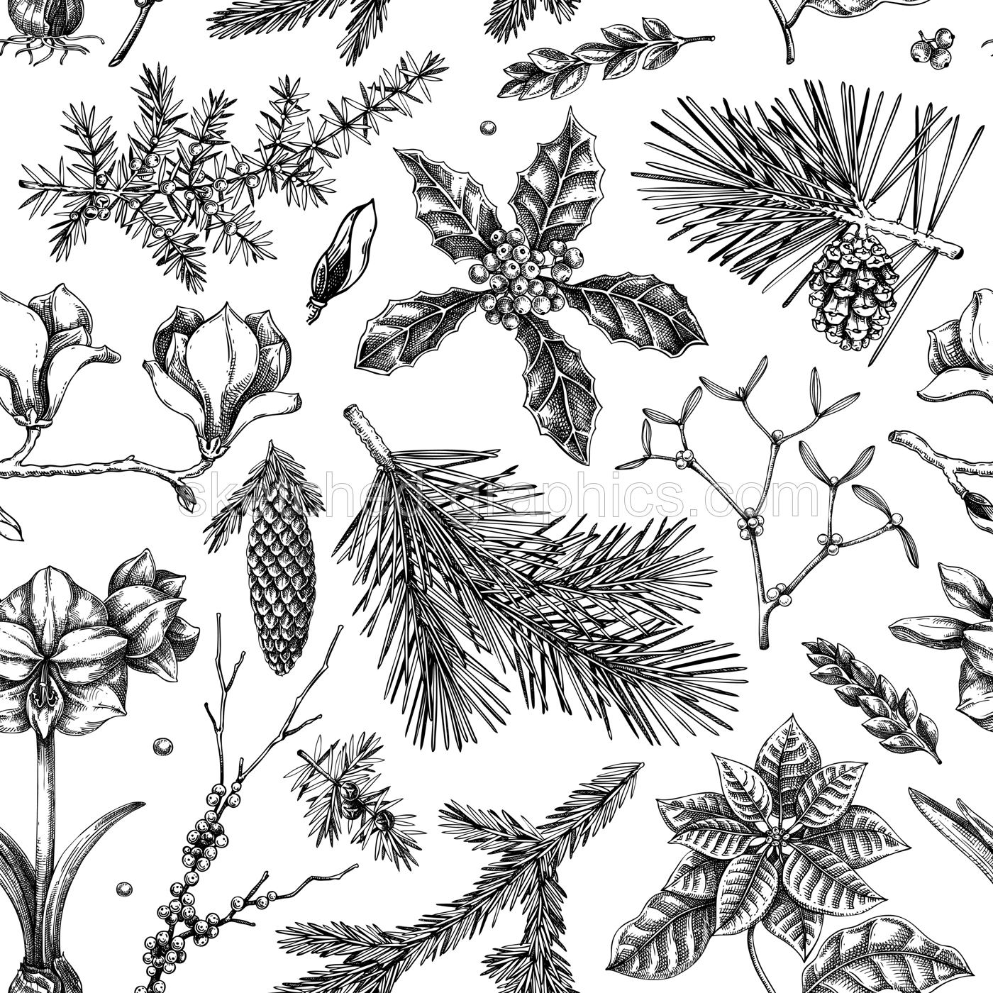  Winter garden seamless pattern. Christmas background. Winter flowers, conifer tree sketches. Hand drawn vector illustration. NOT AI generated Illustration